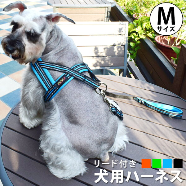 ペット用品 犬 ハーネス みんな探してる人気モノ ペット用品 犬 ハーネス ペット ペットグッズ ペット用品 犬 ハーネス みんな探してる人気モノ ペット用品 犬 ハーネス ペット ペットグッズ