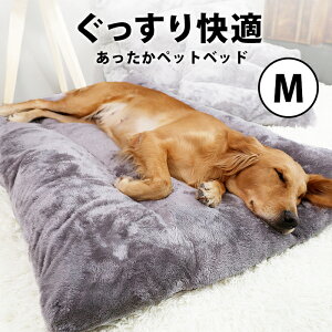 ペットベッド ふかふか カドラー M ペットハウス 洗える 犬 猫 犬ベッド 猫ベッド ペットクッション クッション 猫用 犬用 ペット用ベッド 厚い 無地 ペット用品 おしゃれ シンプル 小型犬 座布団 インテリア ふわふわ あたたかい pet-142【P】≪即納/5月下旬予約≫