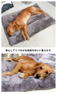 ペットベッド ふかふか カドラー M ペットハウス 洗える 犬 猫 犬ベッド 猫ベッド ペットクッション クッション 猫用 犬用 ペット用ベッド 厚い 無地 ペット用品 おしゃれ シンプル 小型犬 座布団 インテリア ふわふわ あたたかい pet-142【P】