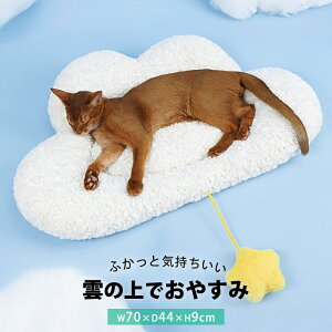 ペットベッド あったか クッション かわいい マット 70x44cm 小型犬用 猫用 春夏 犬 ペットベッド 猫 犬ベッド 猫ベッド 犬 猫 ペット ベッド ペット用品 おしゃれ インテリア 北欧 布団 ふとん 座布団 洗える 寒さ対策 エアコン対策 冷え対策 ふかふか pet-320【P】