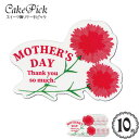 ケーキ 飾り ケーキピック 母の日「MOTHER's DAY」(カーネーション 2)(10枚入り)