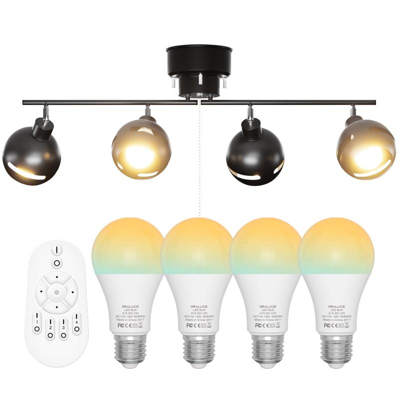 ORALUCE シ―リングライト 4灯(2)