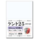 長門屋商店高級ケント紙 〈ケント25〉 スケッチ・イラスト 漫画・コミック用紙 110kg A4 ホワイト