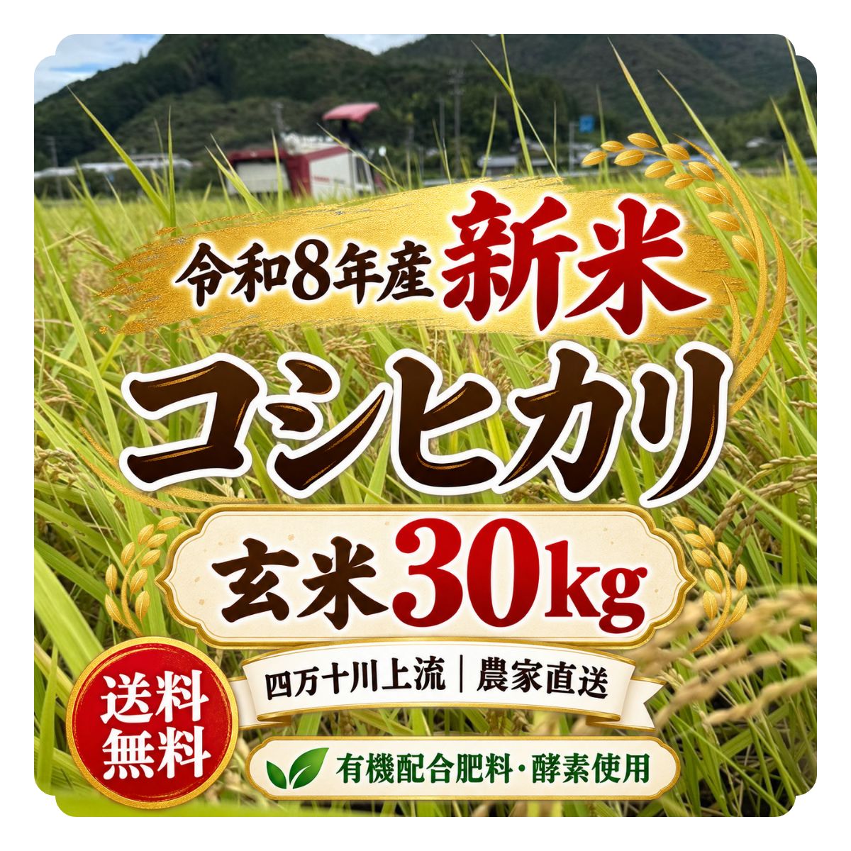 楽天市場】玄米 30kg 高知県の通販