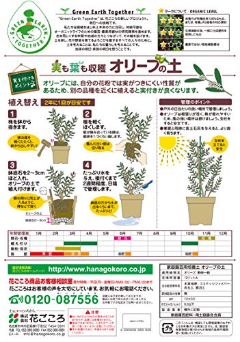 花ごころ オリーブの土 12L