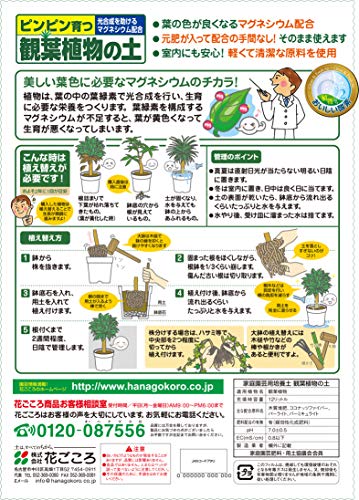 花ごころ 観葉植物の土 12L