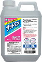 アイン ザウトマン シミ取り用 液体洗剤 PRO 業務用 2000ml 送料 無料