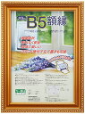 ナカバヤシ 木製軽量額縁 金ケシ B5JIS規格 フKWP31 オフィス用品 送料 無料