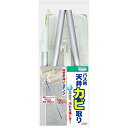 サンコー 浴室掃除用 長柄タイプバススポンジ びっくりフレッシュ 天井カビ取り グリーン BL46 送料 無料