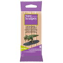 Sculpey アシーナ ポリフォーム スーパースカルピーベージュ 1lb 454g 39081690 送料 無料