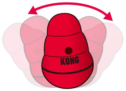 Kong���� ���󥰥�֥顼 ������̵��