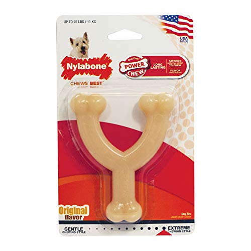 �ʥ���ܡ��� ������ �����å���ܡ���Y�� ���쥮��顼 Nylabone ������̵��