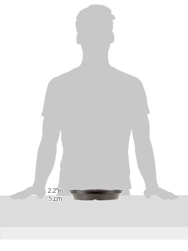 �����ץ졼�Ⱦ� CBPY2 ������̵��