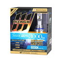 スフィアライトSpherelight バイク用LEDヘッドライト RIZING3ライジング3 H9/ 6000K 3000ルーメン 車 送料 無料