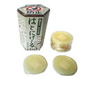 置くだけカンタン鳩対策 鳩忌避剤 はとにげ~る 10コ入り 602116 送料 無料