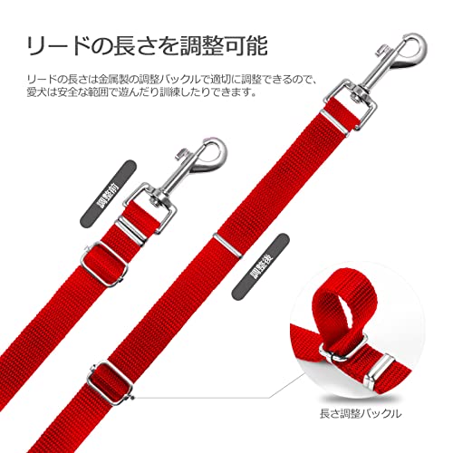 ���ѥ꡼�� ���󥰥꡼�� �����Ĥ��� ���� �緿�� �淿�� ������ ���� Ĺ��Ĵ��ĥ꡼�� �ʥ������� ���� Ĺ�� �ڥå����� 10/��å�