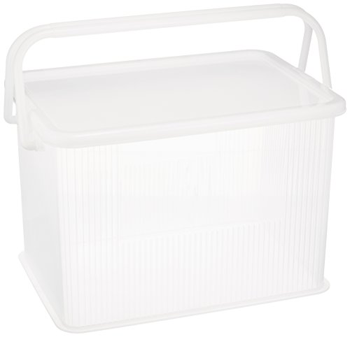 天馬ena 取っ手とふた付きの丈夫な収納ボックス 完成品 プレクシーロックキャリー サイズ ストック品収納やアウトドアでも使用できるキャリーボ