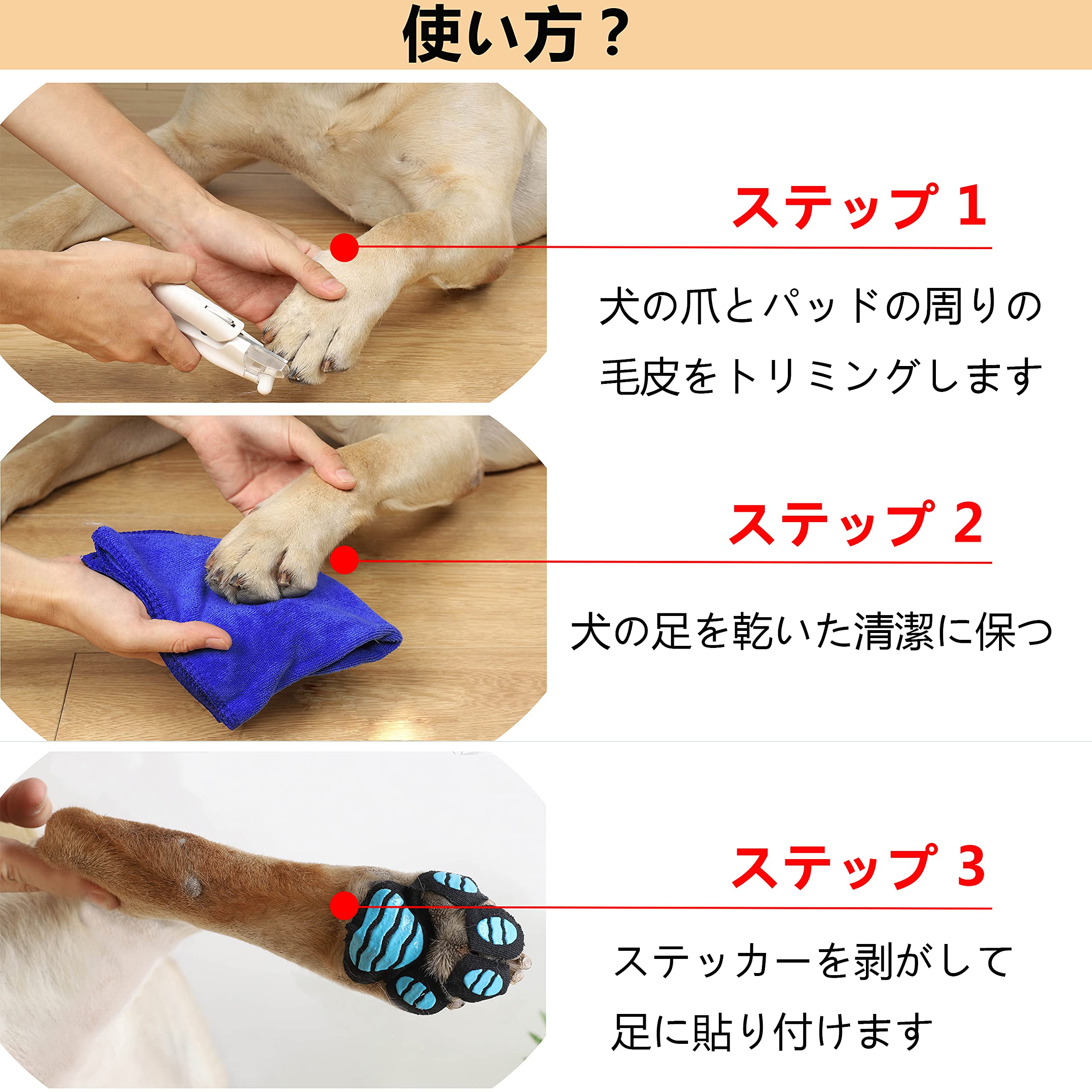 Aqax �� ���ߤ� ������48�縤�ѳ��ߤ� ���� ����å� �ȥ饯�����ѥå�Ǵ���Ϥ��� Ϸ���� ��ԥ������� ��ä����� ­���䶯 �ɥ�