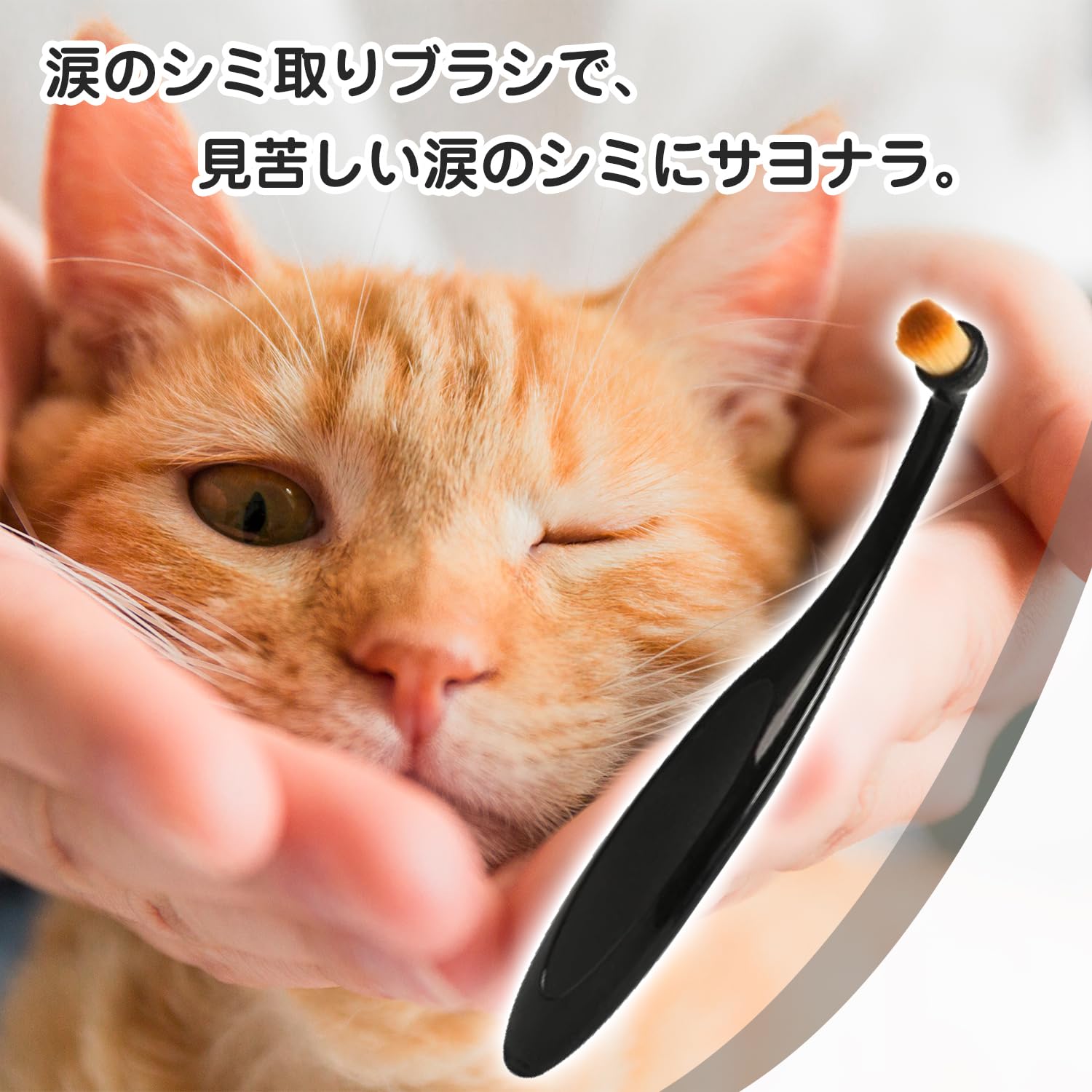AVKE 目やに取り ペットアイコーム 目やにクリーナー 5本入り 犬用パウダーアプリ...