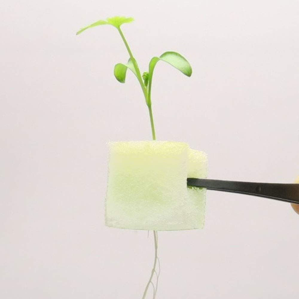 ��ӥ󥰥ե����� �ѥ����� ��̺��� �ĺ�ꥭ�å� ����դ� F07