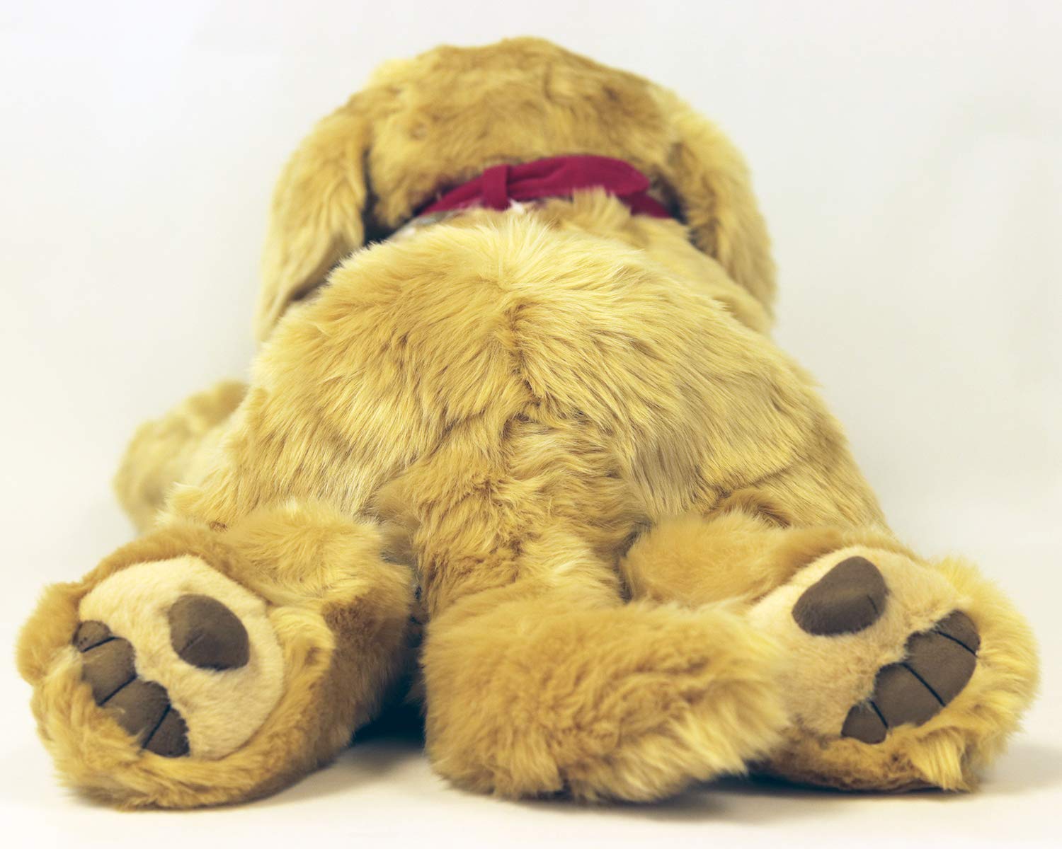 �̤������ M ������ǥ��ȥ�С� ��