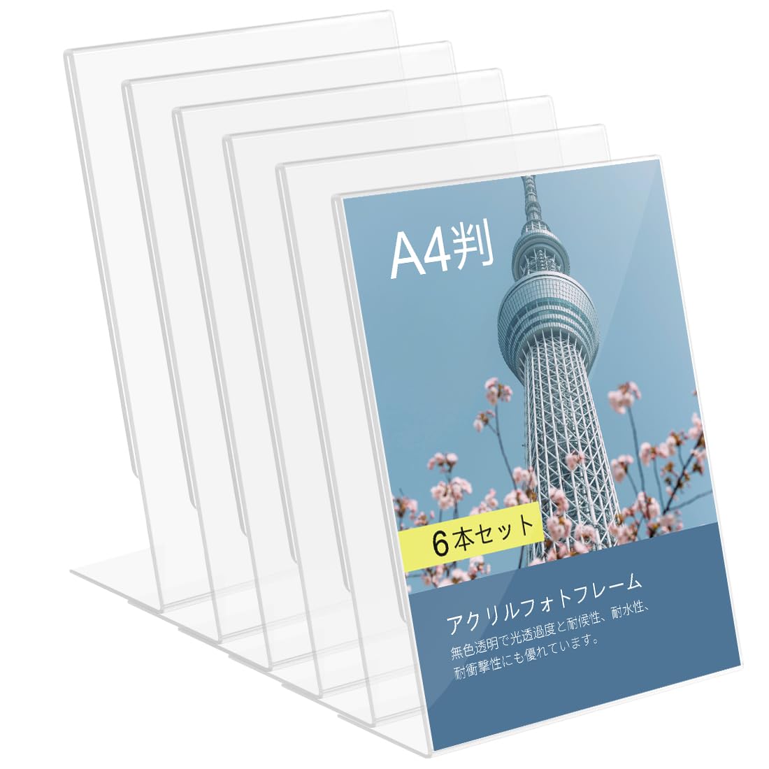 6�ܥ��å� �������ե��ȥե졼�� ��������ۥ��������Ź��O Men �����˥塼������Ω�ơ���������� 210x297mm A4����