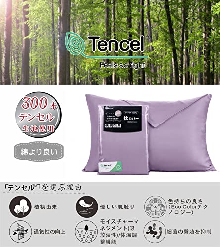 美髪保湿+極上肌触り枕カバー 35x50 ファスナー式 まくらカバー 高級ホテル仕様 OEKOEX認証 テンセル 上品な艶感 温湿度制御性 伸縮 [2]