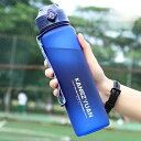 大容量ボトル 水筒 ポータブルストロースポーツウォーターボトル350 500 650 700 1000 1500 2200ml BAフリー プラ(3)