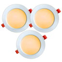 led ダウンライト 100φ 9W 2700K電球色 器具一体型 埋込穴 薄型 A100240V調光器非対応 照射角120度 密閉器具対応