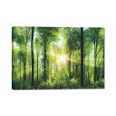 森林 アートパネル 山 絵画 緑 木 太陽 ポスター 日光 自然 風景画 玄関 開運 風水 壁掛け 木枠付きの完成品40x60cm