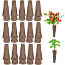 水耕栽培 スポンジ 30個入り植えるスポンジ 水耕栽培キット 詰め替えポッド 苗床 室内 ガーデン 植物育成無土壌栽培 ガーデン用品