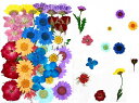 36pcs ドライフラワー乾燥押し花の葉本物の自然なDIYカラーキャンドル装飾樹脂ジュエリーペンダント手工芸品アートネイル電話ケースフェイシャル