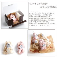 【ふわっさくっしゅわっメレンゲのお菓子】焼き菓子手作りギフトかわいいお中元お歳暮プレゼント手土産無添加