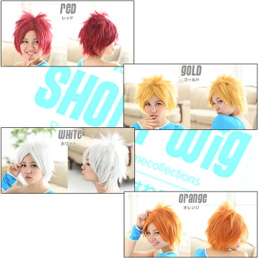 【送料込み※一部地域除く】【wig-021-SS】耐熱ショート 外はねスタイル/ウィッグ/かつら/カツラ/マネキン/ヘアアイロン/コスプレ/ハロウィン/【LN】