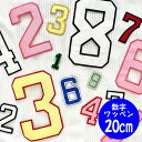 納期注意【数字ワッペン/特大(タテ約20センチ)】ふち刺繍★簡単!アイロン接着/ナンバー/背番号/ゼッケン/ワッペン/カスタマイズ/刺繍/アップリケ/応援グッズ/ユニホーム/スポーツ/カープ/クリスマス/