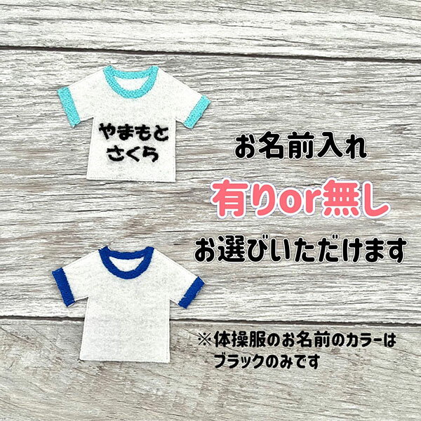 【体操服セット 名入れ 入園 入学準備 アイロン接着 刺繍ワッペン】保育園/幼稚園/小学校/ひらがな/ネーム/アップリケ/刺しゅう/役立ちアイテム