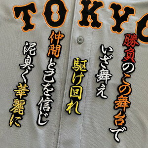 納期注意【読売ジャイアンツ 刺繍ワッペン 山本 応援歌】山本泰寛/ユニフォーム/読売巨人軍/Giants/刺繍/刺しゅう/ワッペン/ 【SG】/クリスマス/