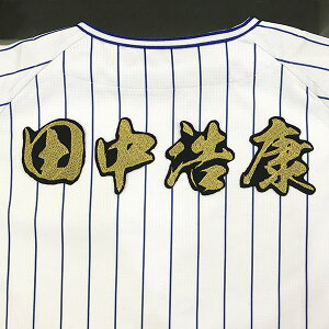 納期注意【横浜DeNAベイスターズ 刺繍ワッペン 田中 名前 毛筆】田中浩康/応援歌/ユニフォーム/優勝/プロ野球/刺繍/刺しゅう/クリスマス/