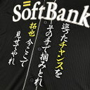 納期注意【ソフトバンクホークス 刺繍ワッペン 甲斐 応援歌】甲斐拓也 /クリスマスプレゼント/ホークスファン/カスタマイズ/カスタム/派手/若鷹軍団/応援歌/ユニフォーム/優勝/プロ野球刺しゅう/ワッペン【SG】の商品画像