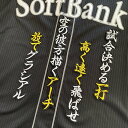 納期注意【ソフトバンクホークス 刺繍ワッペン グラシアル 応援歌】/ユニフォーム/プロ野球/刺繍/刺しゅう/ワッペン/応援グッズ【SG】の商品画像