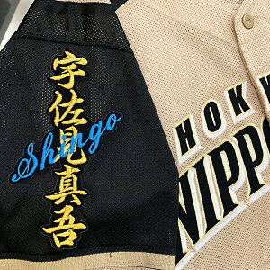 納期注意【日本ハムファイターズ 刺繍ワッペン 宇佐見 ネーム】宇佐見真吾/ユニフォーム/日ハム/ファイターズ/刺しゅう/ワッペン【SG】