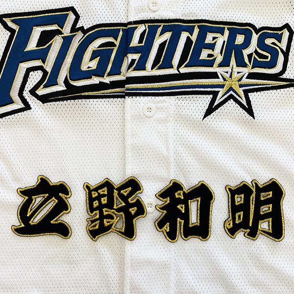 納期注意【日本ハムファイターズ 刺繍ワッペン 立野 名前】立野和明/ユニフォーム/日ハム/ファイターズ/刺しゅう/ワッペン【SG】