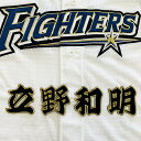 納期注意【日本ハムファイターズ 刺繍ワッペン 立野 名前】立野和明/ユニフォーム/日ハム/ファイターズ/刺しゅう/ワッペン【SG】