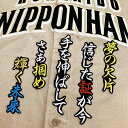 納期注意【日本ハムファイターズ 刺繍ワッペン 渡邉 応援歌】渡邉諒/ユニフォーム/日ハム/ファイターズ/刺しゅう/ワッペン【SG】