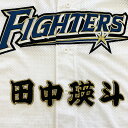 納期注意【日本ハムファイターズ 刺繍ワッペン 田中 名前】田中瑛斗/ユニフォーム/日ハム/ファイターズ/刺しゅう/ワッペン【SG】