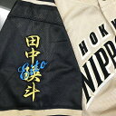 納期注意【日本ハムファイターズ 刺繍ワッペン 田中 ネーム】田中瑛斗/ユニフォーム/日ハム/ファイターズ/刺しゅう/ワッペン【SG】