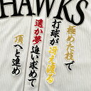 納期注意【ソフトバンクホークス 刺繍ワッペン 近藤 応援歌】近藤健介 /クリスマスプレゼント/ホークスファン/カスタマイズ/カスタム/派手/若鷹軍団/応援歌/ユ...