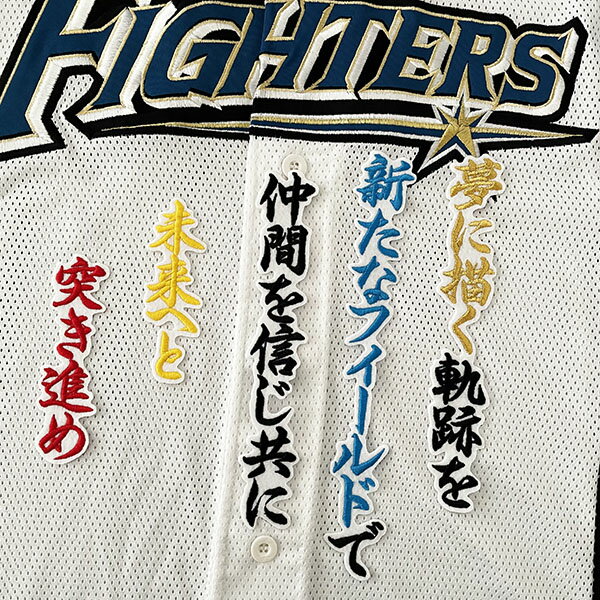 納期注意【日本ハムファイターズ 刺繍ワッペン 加藤 応援歌】加藤豪将/ユニフォーム/日ハム/ファイターズ/刺しゅう/ワッペン【SG】