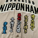 納期注意【日本ハムファイターズ 刺繍ワッペン 宇佐見 応援歌】宇佐見真吾/ユニフォーム/日ハム/ファイターズ/刺しゅう/ワッペン【SG】