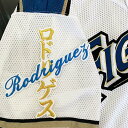 納期注意【日本ハムファイターズ 刺繍ワッペン ロドリゲス ネーム】ブライアン/ユニフォーム/日ハム/ファイターズ/刺しゅう/ワッペン
